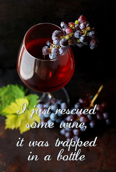Ich habe gerade etwas Wein gerettet, der in einer Flasche eingeschlossen war. von Sira Maela