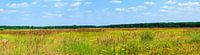 Panorama foto natuurgebied in Belgische gemeente Lommel