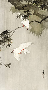 Birds in rain (1900 - 1936) by Ohara Koson
