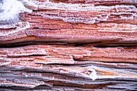 hout