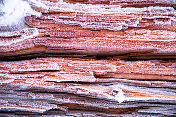 hout