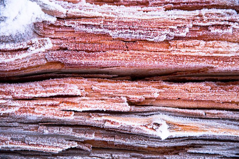hout by jaap vegter