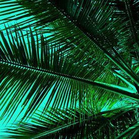 GREENERY POPPPY PALM LEAVES by Pia Schneider