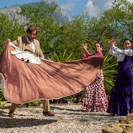 Flamenco dans les montagnes 5 sur Peter Laarakker