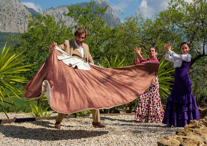 Flamenco in the mountains 5 by Peter Laarakker