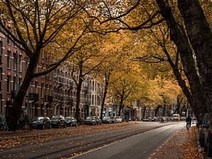 Ceintuurbaan im Herbst #2 von Roger Janssen