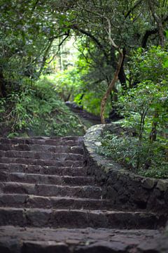natural stone stairs mexico by Myron Jay Straatman