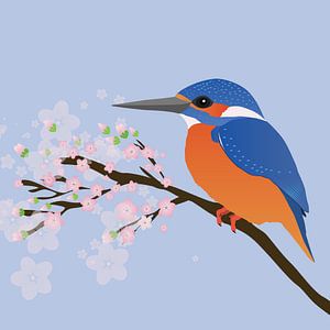 Der Eisvogel