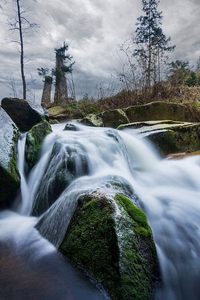 Harz Wasser von Tim Lee Williams