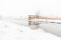 Sneeuw Landschap