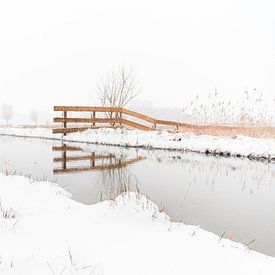 Sneeuw Landschap van Iris Zoutendijk