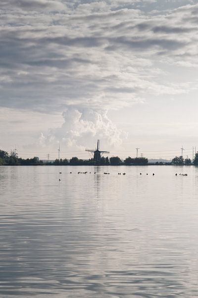 Haarlem in morning light | Mooie Nel by heidi borgart