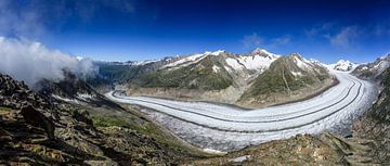 Aletschgletscher in der Schweiz