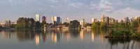 Ligne d'horizon depuis Kralingse plas par Prachtig Rotterdam Aperçu