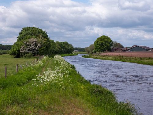 Fluss Berkel in grüner Umgebung der Achterhoek in den Niederlanden