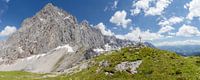 Bergpanorama Dachstein-Südwand von Coen Weesjes Miniaturansicht