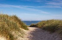 De weg naar het strand