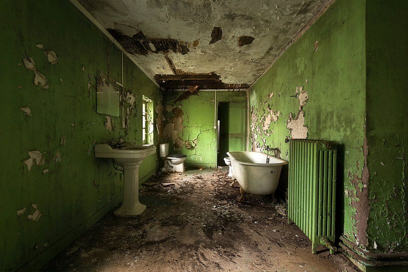 Verlassenes Badezimmer im Grün. von Roman Robroek