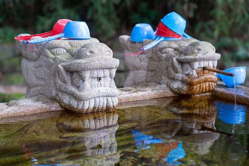 Temple Water, Busan, South Korea by Annemarie Arensen