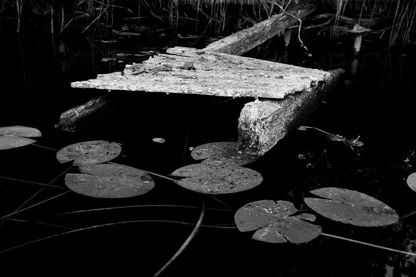 Alter, verfallener Bootssteg im See von Flatfield