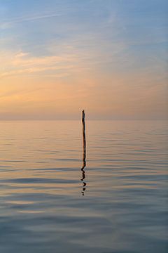 Paal van een visnet in het IJsselmeer in de kleur van de zonsondergang van Harrie Muis