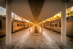 Goldene Station von Niels Eric Fotografie