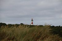 Ameland-Leuchtturm Top