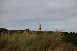Phare d'Ameland Top sur Anne Bergsma