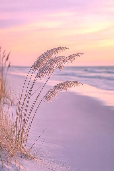 Beach grasses in the evening light - pastel colours by Poster Art Shop
