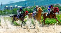 Course de chevaux pour le prix Open.