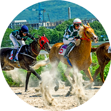 Paardenrace voor de Open prijs. van Mikhail Pogosov