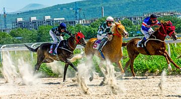 Course de chevaux pour le prix Open. sur Mikhail Pogosov