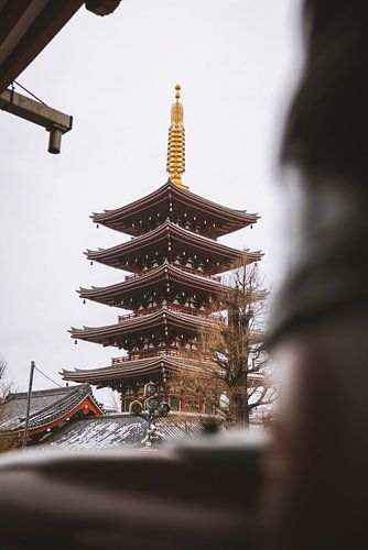 Asakusa Tempel: Een Pilaar van Spirituele Rust