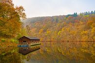 Herfst aan het meer van Nisramont van Jim De Sitter thumbnail