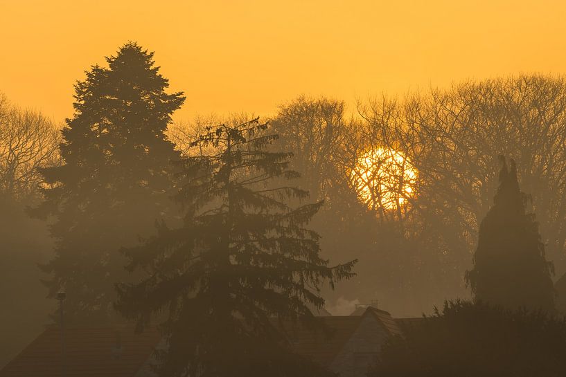 Golden hour with rising sun by Marcel Derweduwen