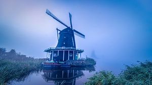 Moulins à vent dans le brouillard