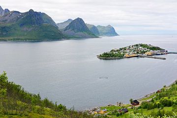 Husøy sur Gisela Scheffbuch