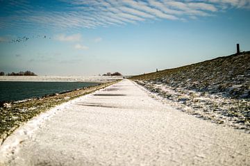 Kamperland, Zeeland von Michel Koenes