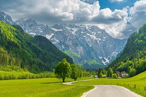 Alpengebirgslandschaft im Logar-Tal im Frühling