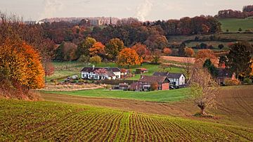 Wolfhaag von Rob Boon