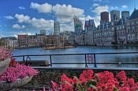 Den Haag - zicht op het Binnenhof