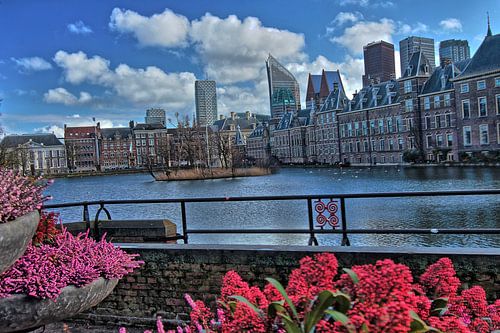 Den Haag - zicht op het Binnenhof