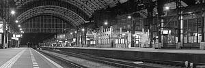 Panorama de la gare de Haarlem en noir et blanc.