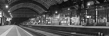 Panorama de la gare de Haarlem en noir et blanc. sur Anton de Zeeuw
