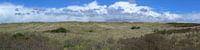 Panorama of Ameland's dunes