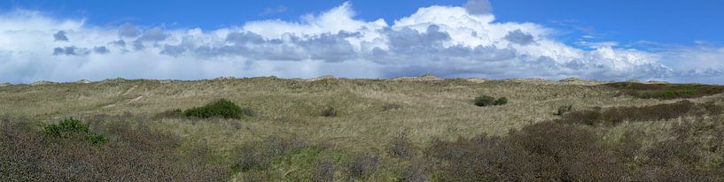 Panorama der Dünen von Ameland von Harry Kors