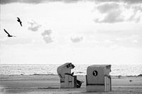 Basket-Chair-Talk-with-Dove