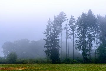 Mist Landschap van Joachim Neumann