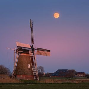 Sonnenuntergang und Vollmond am Hoeksmeer, Garrelsweer, Groningen, Niederlande