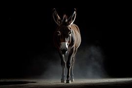 Donkey by Poster Art Shop